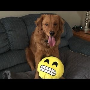 Meet your Posher, Coco